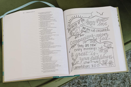 Beautiful Word Coloring Bible (NIV)
