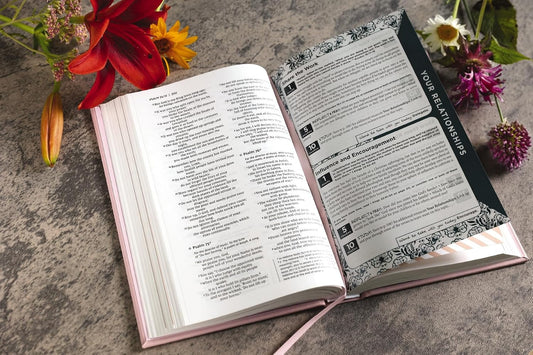 The Busy Mom's Bible
