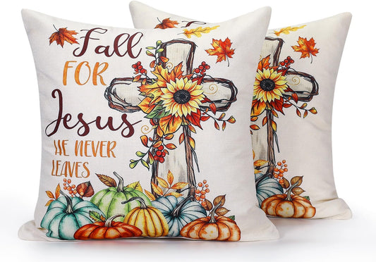 Pillows 16 x 16 inch